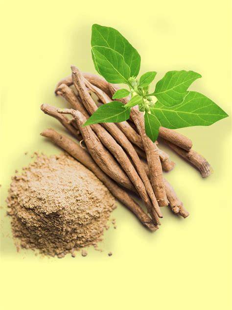 Ashwagandha Ingredient
